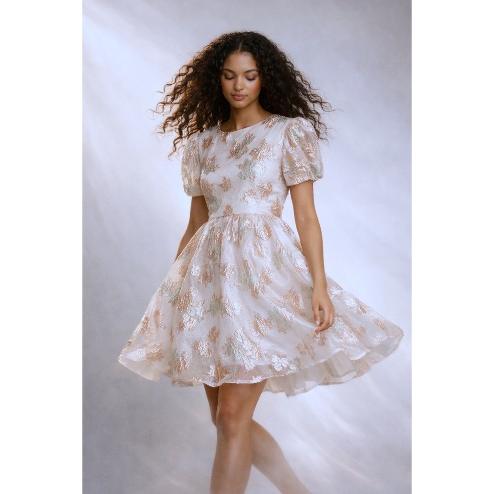 Audrey Parks Francesca's Metallic Floral Jacquard Puff Sleeve Mini Dress Medium